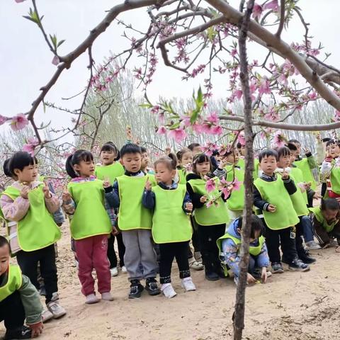 春日踏春 “趣”春游——北刘村幼儿园春游活动