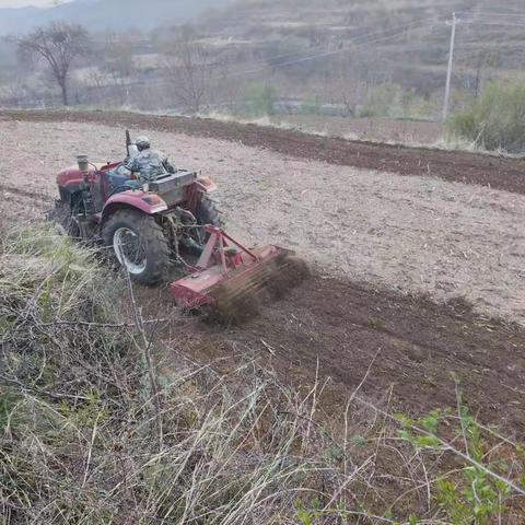 春耕——生命的开始🌱