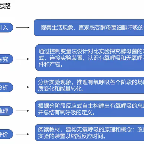 于挑战中打磨，在成长中蜕变 ——记我的“同课异构”备赛心路历程