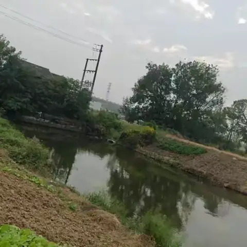 寻找湖州塘甸浒稍桥北的牌坊遗物
