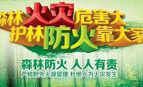 夯实防火工作   共保森林安全——大子杨山林场开展森林防火、安全生产工作