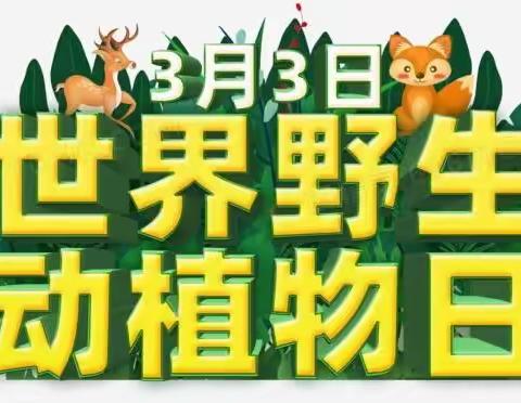 保护野生动植物   共建美丽家园——大子杨山林场开展“世界野生动植物日”宣传活动