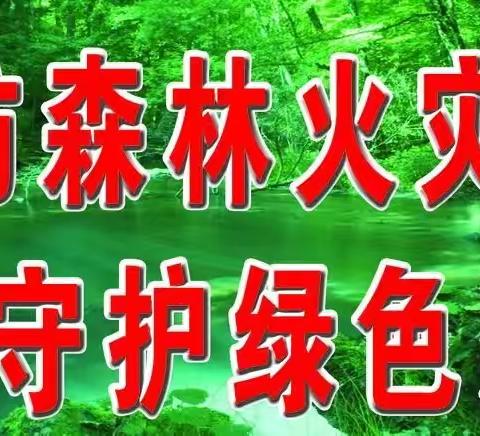 防火常抓   青山常在——大子杨山林场开展秋季森林防火工作