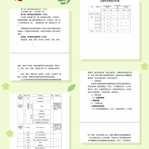 “超越从足下启航” ——双龙镇中心小学校校园足球赛