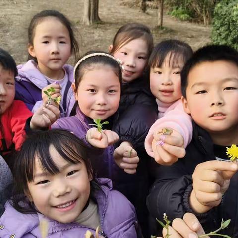 与春同行，解锁春日小美好 ——实验小学立新路二年级组
