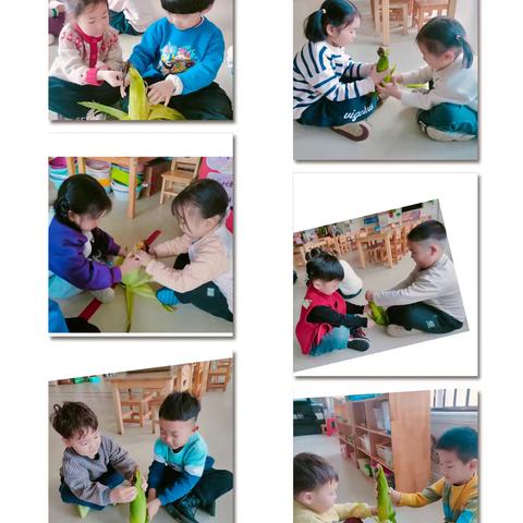 中央城明日之星幼儿园–中二班–沐浴春风 童趣无限