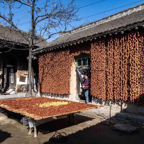 太行山晒秋：绘就岁月好风景          ——太行山纪行之三