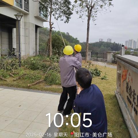 2025年2月中竣物业服务简报
