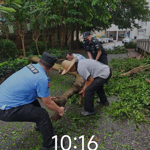 2025年7月中竣物业服务简报