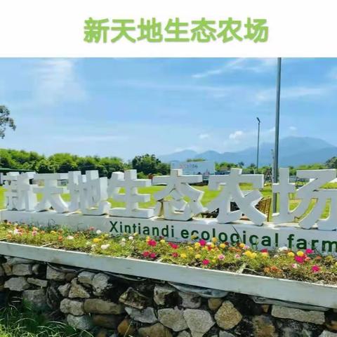 体验农耕文化，感悟劳动之美——黄江育英小学501班研学活动