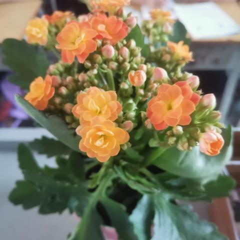 五7班9月份工作小结