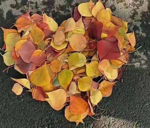 五7班十一月份工作总结