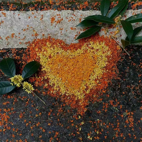 六7班9月份工作总结