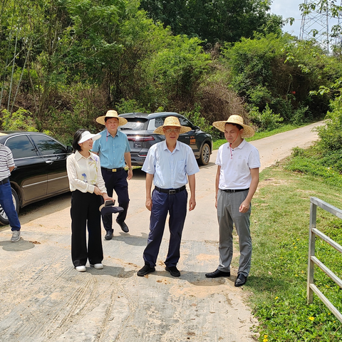 蒋明清到南丰镇调研民生基础设施工作