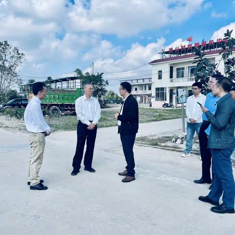 蒋明清到新州镇调研防洪堤、乡村道路建设工作