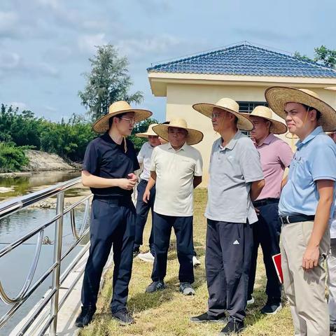 蒋明清主席到海头镇开展社情民意督办调研工作