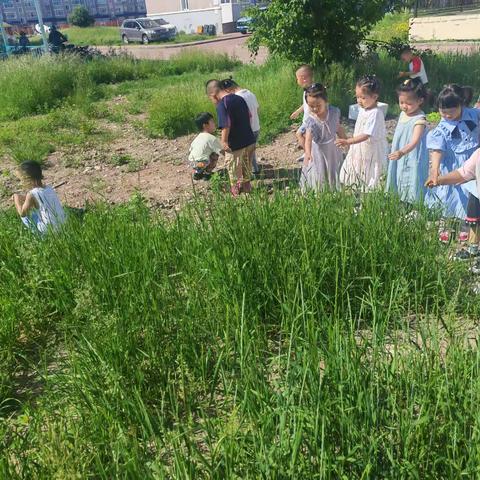 贝蕾班“玩叶子”一周精彩活动记