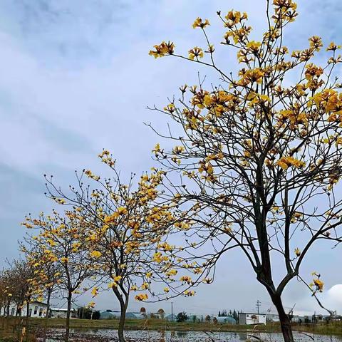 天地课堂 玉人有道