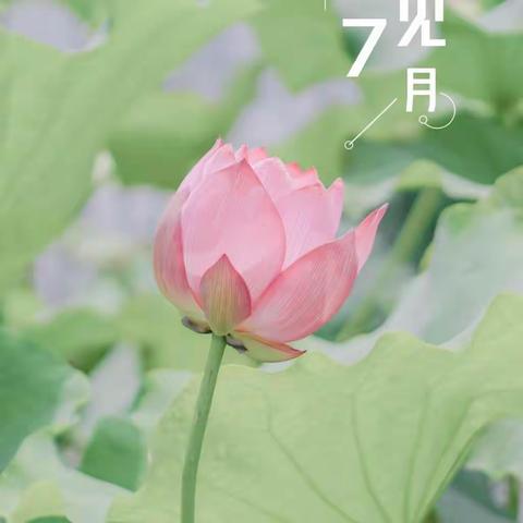达生物业2023年7月份工作简报