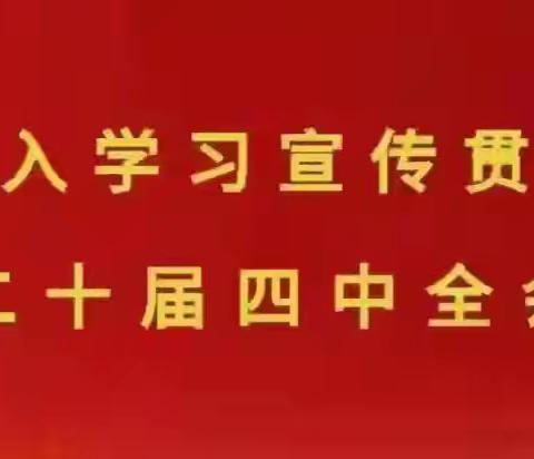 故县镇2月11日工作动态