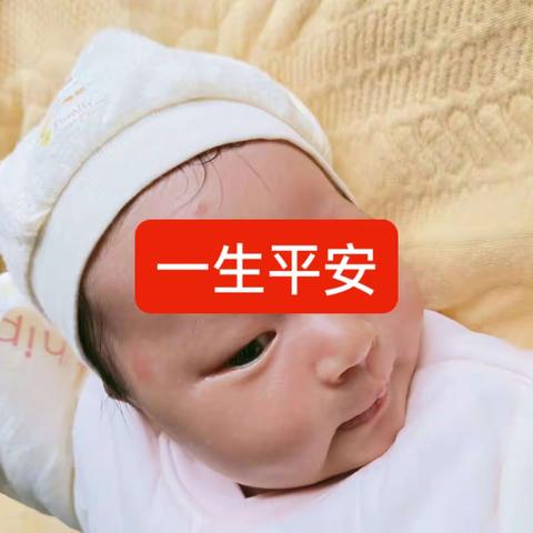 用户5201817的简篇