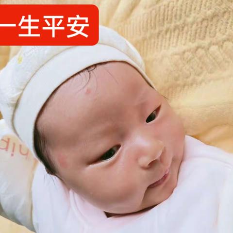 用户5201817的简篇