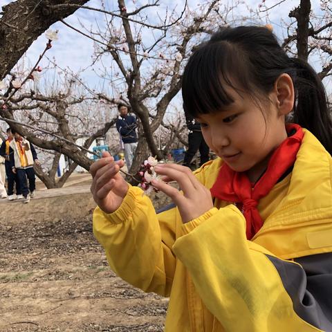 【善美教育】走进美丽乡村，亲近多彩的人文和自然—济南市济阳区第二实验小学研学纪实