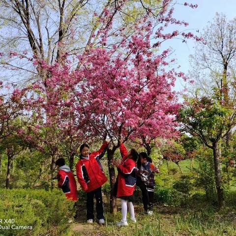 “拥抱春天🍃亲近自然”——实验小学一（6）班第3小组假日实践活动“寻找春天的色彩”