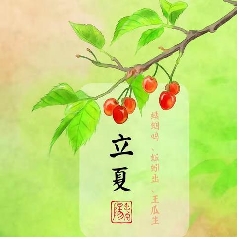 二十四节气 |立夏——蚂蚁趣事