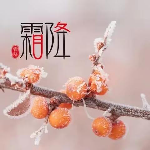 二十四节气｜霜降——一起来找霜