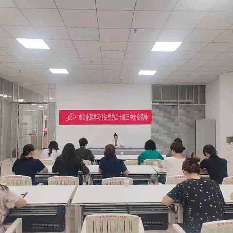 宝鸡市女企联学习传达党的二十届三中全会精神