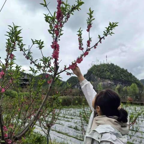 最美人间四月天，踏青赏花正当时