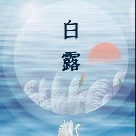 一幼教育|二十四节气之白露––白露至，秋实美