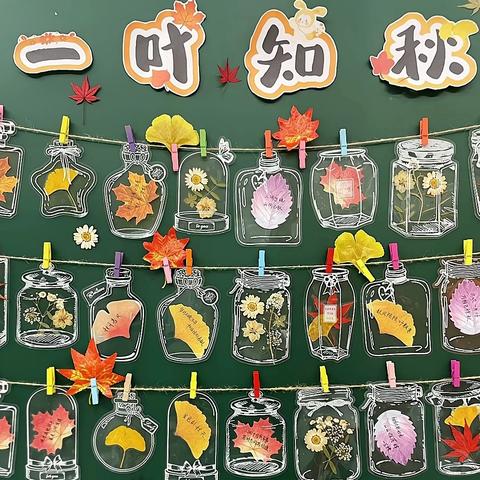 走进秋天、发现秋天、收集秋天🍂