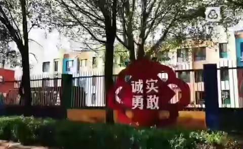 欢愉时光，趣乐无穷——长官镇中心幼儿园小班一周精彩瞬间