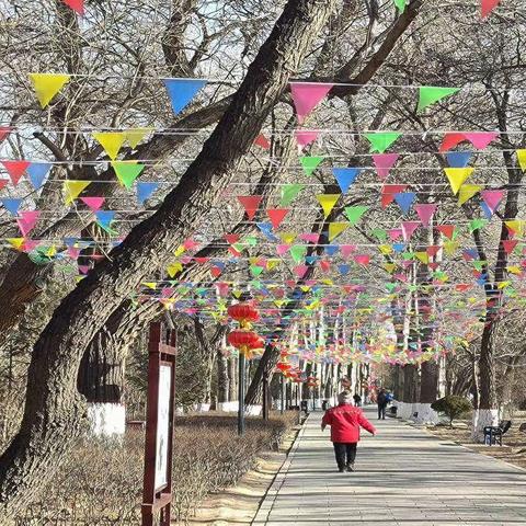 中山公园开展春节氛围营造工作