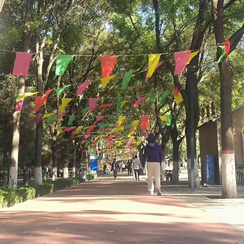 欢度国庆佳节 畅游中山公园