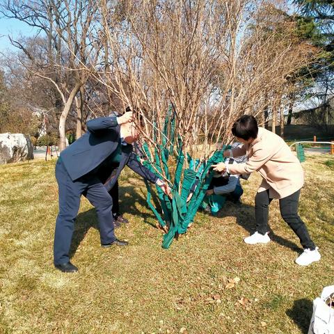 一年之计在于春，植树添绿正当时——泉城公园全民义务植树尽责火热进行