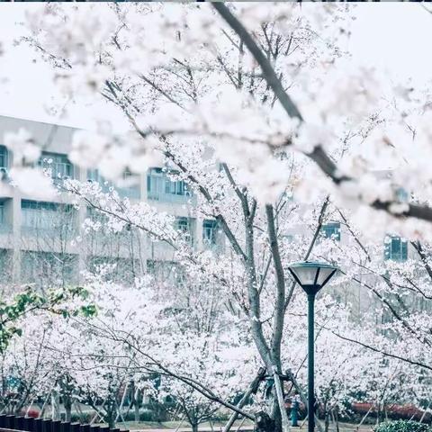 春日研修笃行远  且行且思共芬芳——南通市海门区“薪火育苗”年轻干部培训研修班第二阶段研修纪实（四）