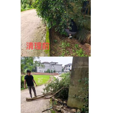 人居环境焕新颜，共建和美新乡村——安居村人居环境整治专项行动纪实