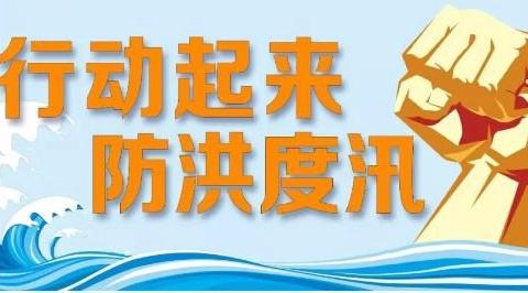 精细化防汛，桥梁保障所全力守护市民出行安全