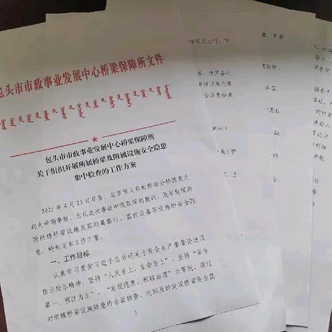排查隐患保桥安——桥梁保障所联合路灯所智能所对桥梁及附属设施安全隐患展开拉网式排查