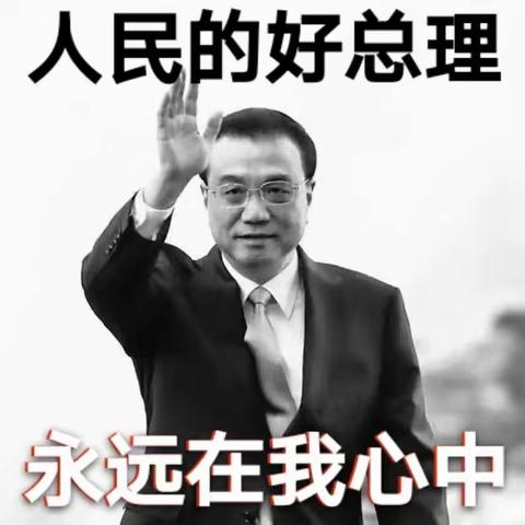 深切缅怀人民的好总理———黄堽镇大张庄小学