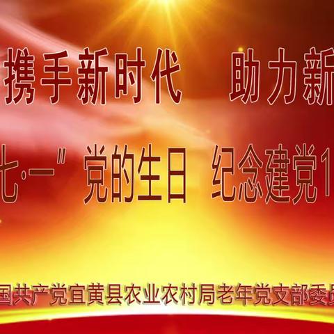 携手新时代   助力新跨越 ——宜黄县棠阴镇退休老干部党支部庆“七·一”活动