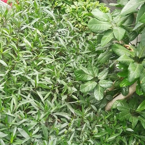 幸福里六月工作简报