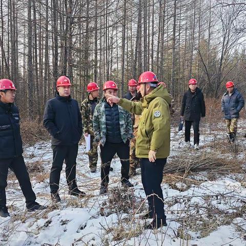 抓实生产采伐工作 护航林业高质量发展—长白森林经营局副局长谭晓强深入横山林场开展森林可持续经营采伐任务专项检查