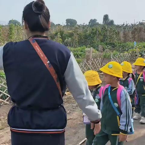 享采摘之趣，沐自然之美| ——天一城幼儿园秋季研学活动