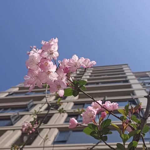 松州华庭一期3月份简报