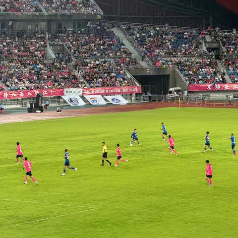 苏韵伊情聚苏超 ﻿ 石榴花开共成长