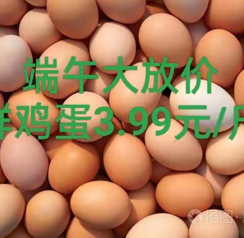 龙廷新时代的简篇